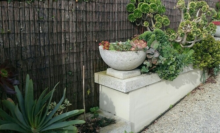 Imagen de los exteriores del Hotel Topiary Haven. Foto 24