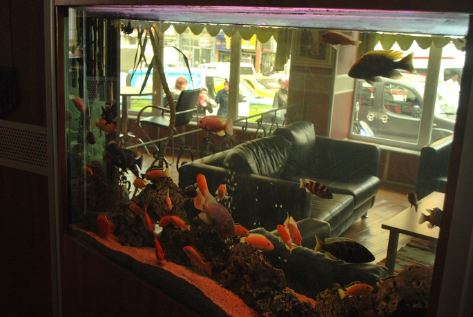 Imagen de los interiores del Hotel Topkapı. Foto 7