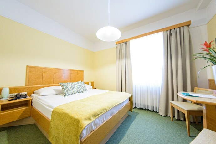 Imagen de la habitación del Hotel Toplice - Terme Krka. Foto 20