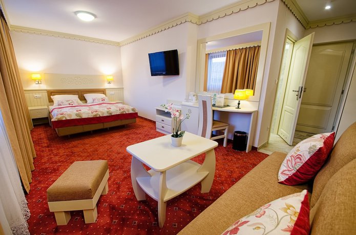 Imagen de la habitación del Hotel Topor&oacute;w. Foto 4