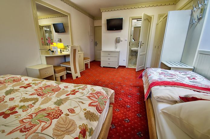 Imagen de la habitación del Hotel Topor&oacute;w. Foto 7