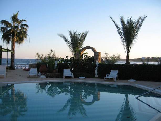 Imagen de la piscina del Hotel Topset. Foto 11
