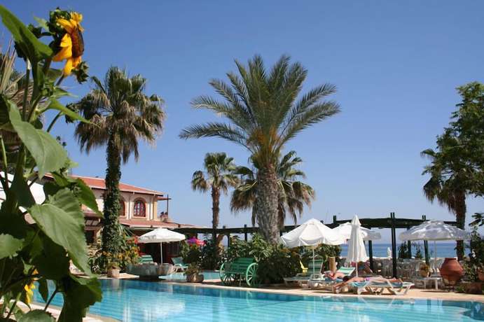 Imagen de la piscina del Hotel Topset. Foto 12