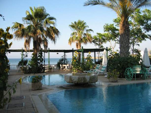 Imagen de la piscina del Hotel Topset. Foto 13
