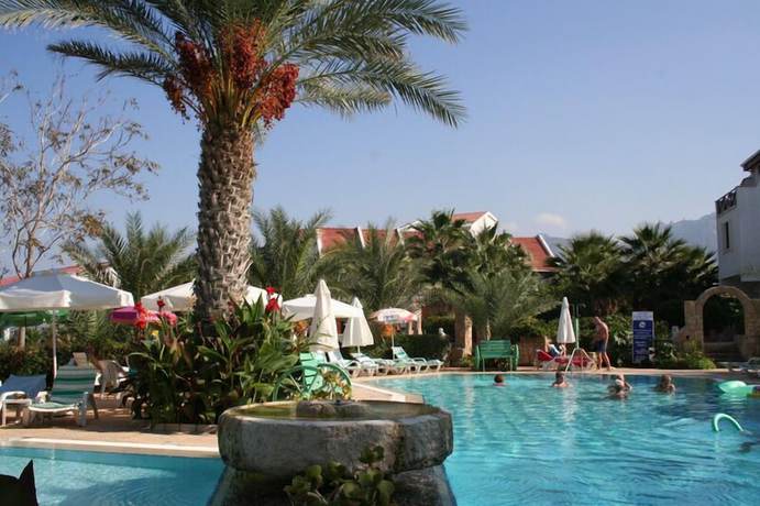 Imagen de la piscina del Hotel Topset. Foto 17