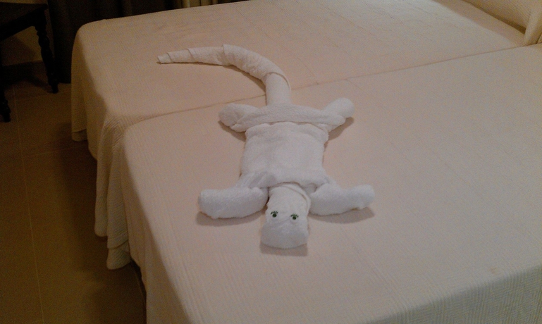 Imagen de la habitación del Hotel Toral. Foto 8