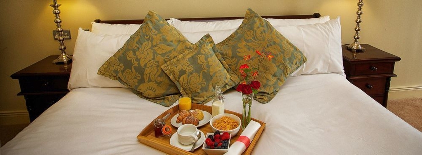 Imagen de la habitación del Hotel Torc. Foto 6