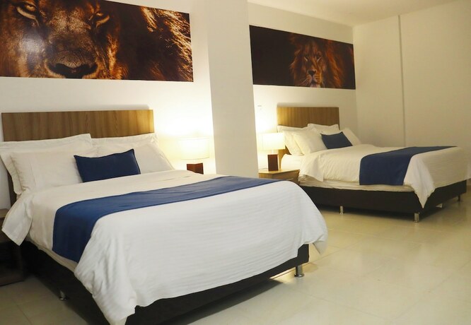Imagen de la habitación del Hotel Torca Hotels. Foto 12
