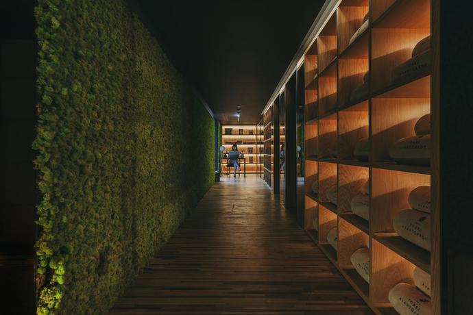 Imagen de los interiores del Hotel Torel Avantgarde. Foto 7