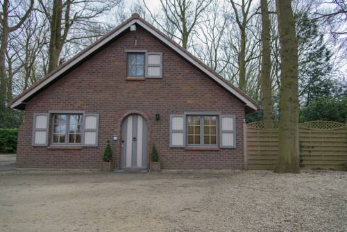 Imagen de la habitación del Hotel Torenhof. Foto 9