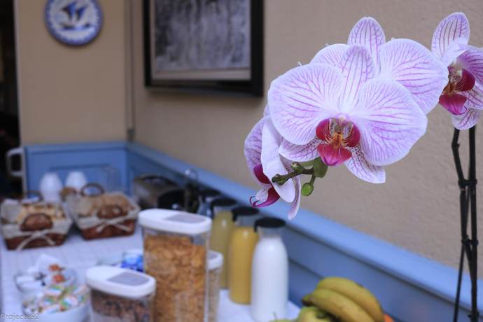 Imagen del bar/restaurante del Hotel Torino, El Masnou. Foto 3