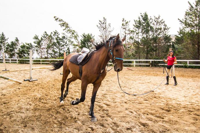 Imagen general del Hotel Torre Artale. Foto 7