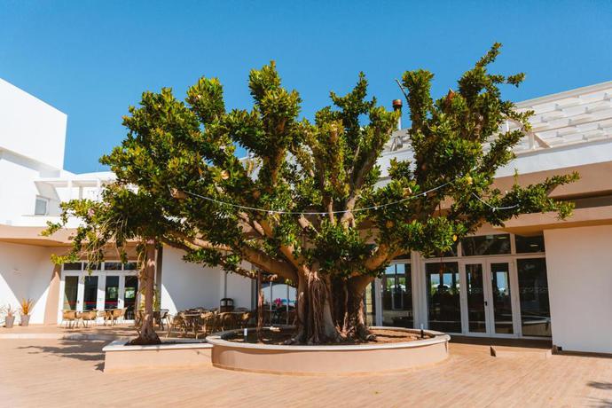 Imagen general del Hotel Torre Cintola Greenblu Sea Emotions. Foto 14