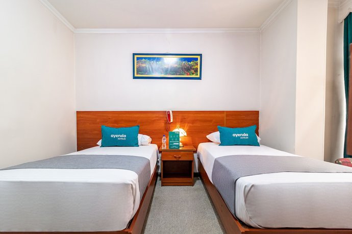 Imagen de la habitación del Hotel Torre Colpatria. Foto 12