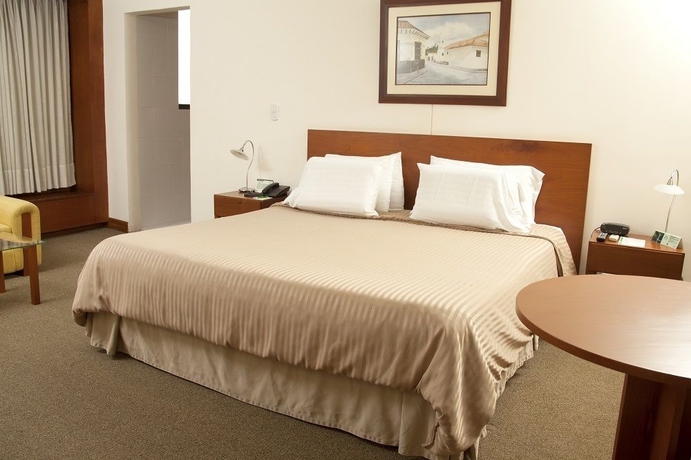 Imagen de la habitación del Hotel Torre De Cali Plaza. Foto 5