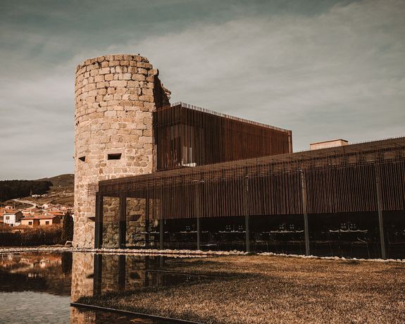 Imagen de los exteriores del Hotel Torre Del Mayorazgo. Foto 15