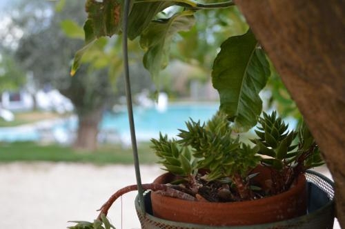 Imagen general del Hotel Torre Santamaria Resort. Foto 5