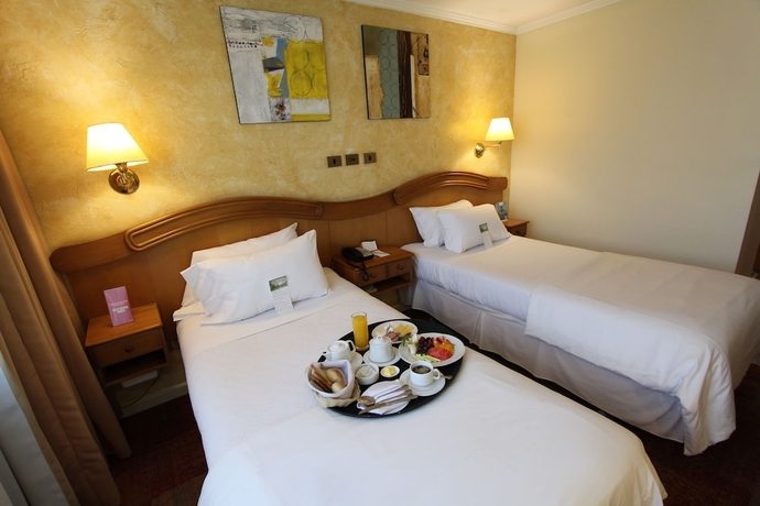 Imagen de la habitación del Hotel Torremayor Lyon. Foto 13