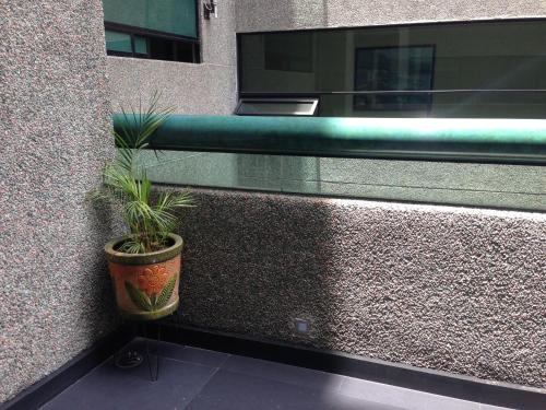 Imagen general del Hotel Torremolinos, Ciudad de M&eacute;xico. Foto 4