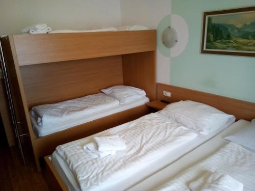 Imagen general del Hotel Torrenerhof. Foto 9