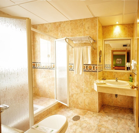 Imagen de la habitación del Hotel Torrepalma. Foto 7