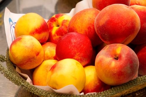 Imagen general del Hotel Tortosa Parc. Foto 7