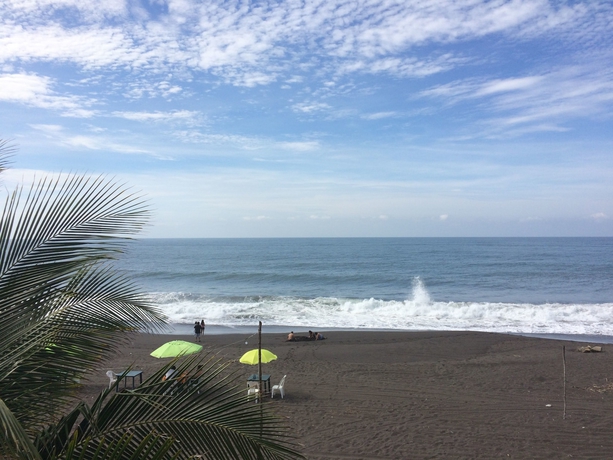 Imagen de los exteriores del Hotel Tortugas Place Y Bungalos. Foto 13