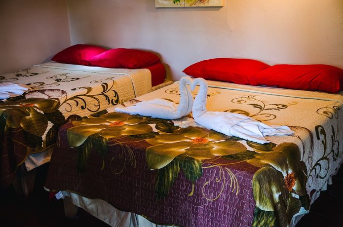 Imagen de la habitación del Hotel Tortuguero Beachfront. Foto 8