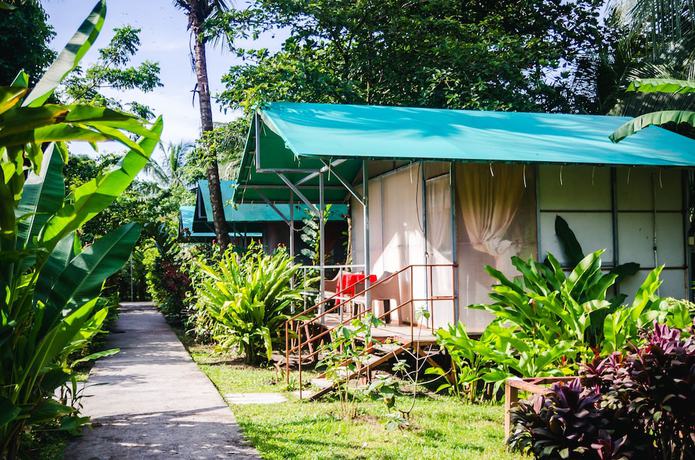 Imagen de la habitación del Hotel Tortuguero Beachfront. Foto 10