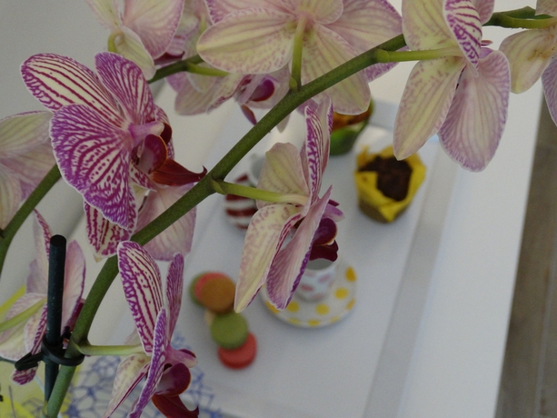 Imagen del bar/restaurante del Hotel Toscana Ambassador. Foto 2