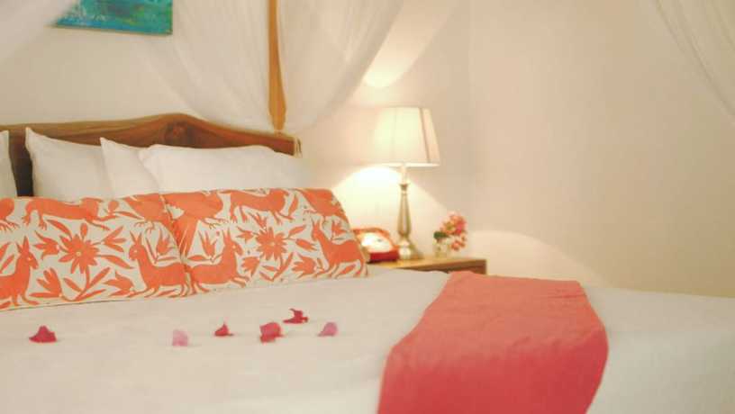 Imagen de la habitación del Hotel Toto Blue Boutique. Foto 15