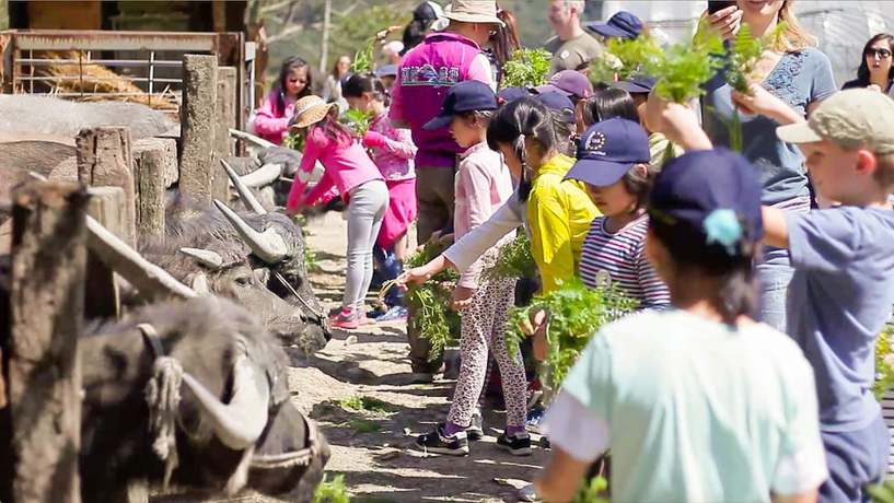Imagen de los interiores del Hotel Toucheng Leisure. Foto 18