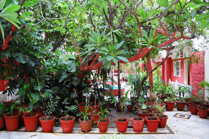 Imagen de los interiores del Hotel Tourist Rest House. Foto 6