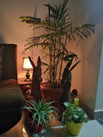 Imagen de la habitación del Hotel Touristen Holiday Home. Foto 14