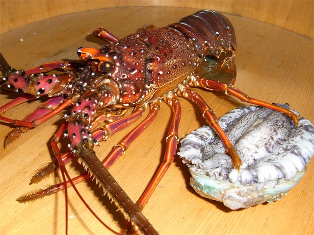 Imagen del bar/restaurante del Hotel Toushijima Onsen Suzunami. Foto 5