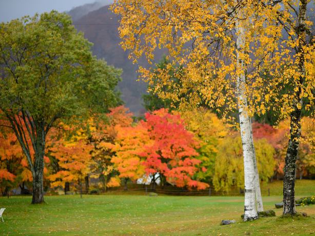 Imagen de los exteriores del Hotel Towada Prince. Foto 14