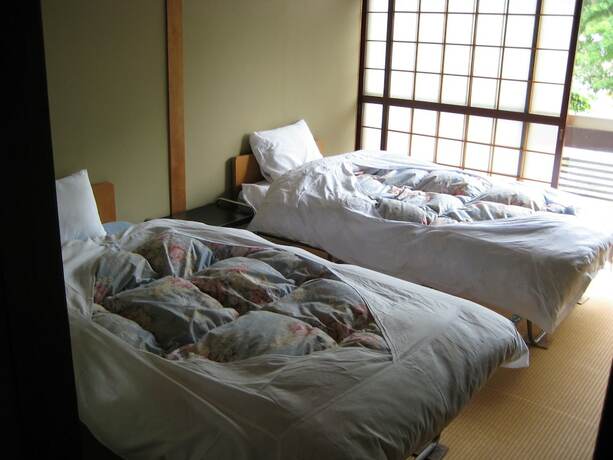 Imagen general del Hotel Towadako Backpackers. Foto 2
