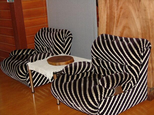Imagen general del Hotel Towadako Backpackers. Foto 3
