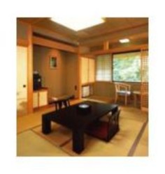 Imagen general del Hotel Towadako Shinzantei. Foto 2