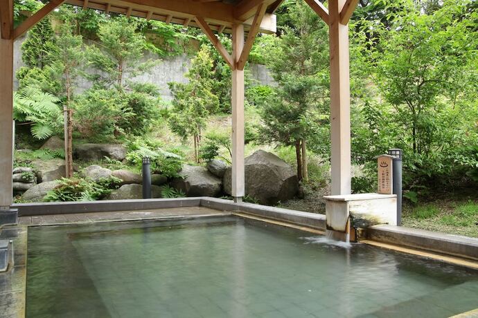 Imagen general del Hotel Towadaso. Foto 10