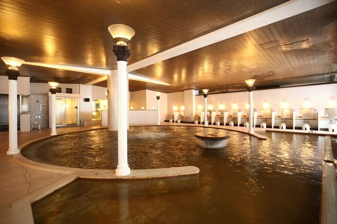 Imagen general del Hotel Towadaso. Foto 16