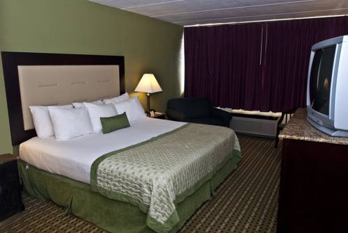Imagen de la habitación del Hotel Town Inn, Hamilton. Foto 3