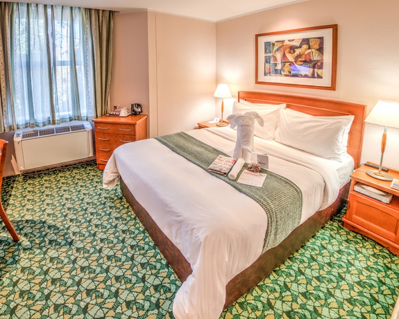 Imagen de la habitación del Hotel Town Lodge Johannesburg Airport. Foto 5