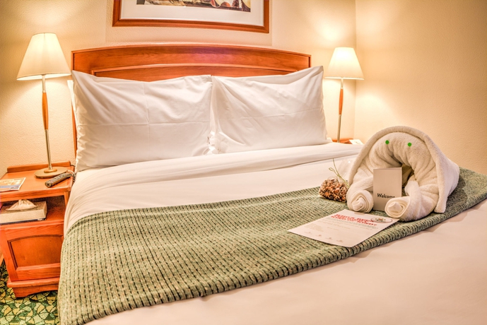 Imagen de la habitación del Hotel Town Lodge Johannesburg Airport. Foto 9