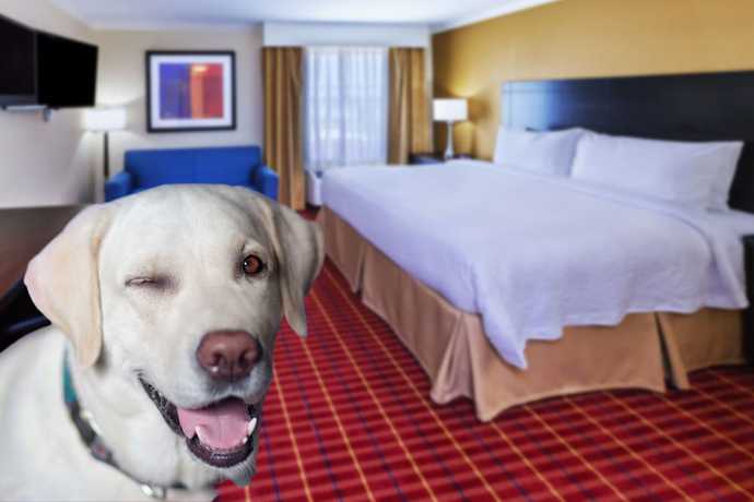 Imagen general del Hotel TownePlace Suites by Marriott Corpus Christi. Foto 1