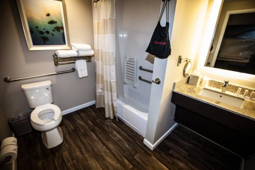 Imagen de la habitación del Hotel Towneplace Suites By Marriott Boynton Beach. Foto 15