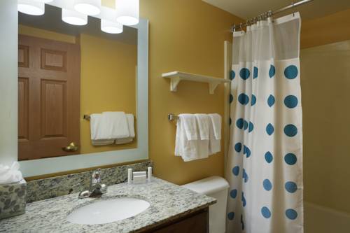 Imagen de la habitación del Hotel Towneplace Suites Tampa North I-75 Fletcher. Foto 12