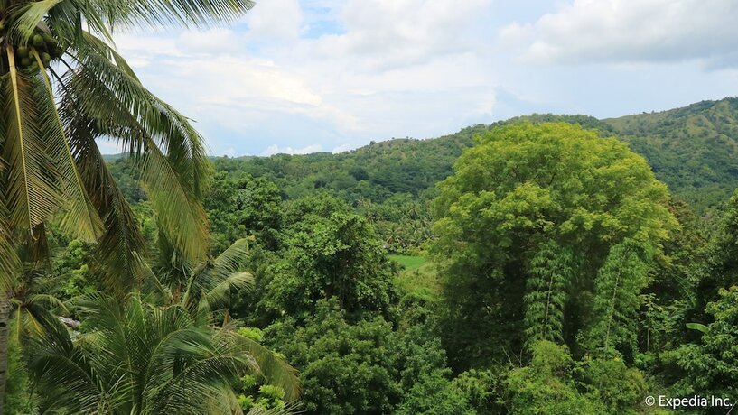 Imagen general del Hotel Townview Guest House. Foto 11