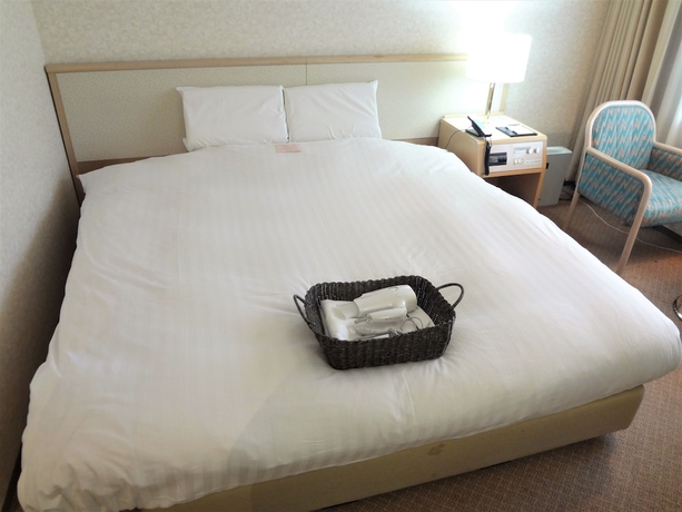 Imagen de la habitación del Hotel Toyama Chitetsu. Foto 16