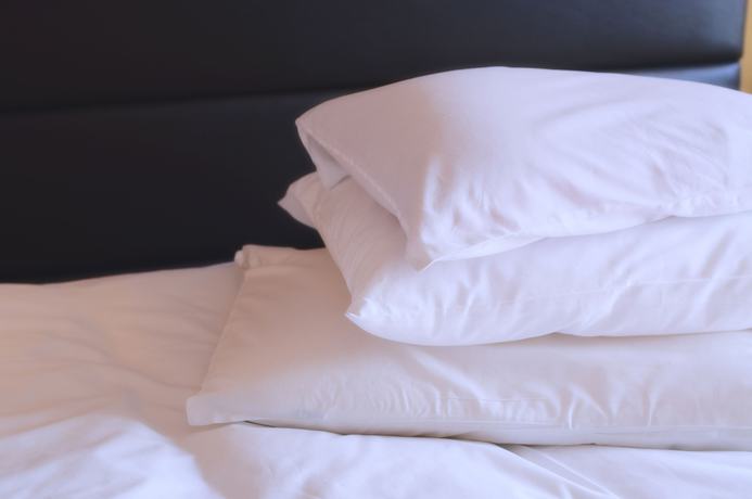 Imagen de la habitación del Hotel Toyama Dai-ichi Hotel. Foto 11